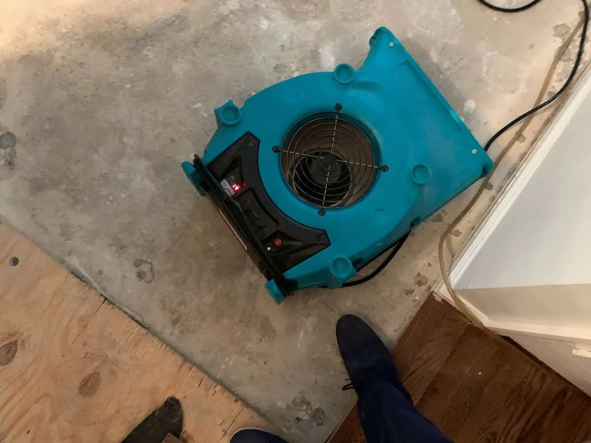 Air mover drying subfloor during Commercial Water Damage Restoration in Altamont